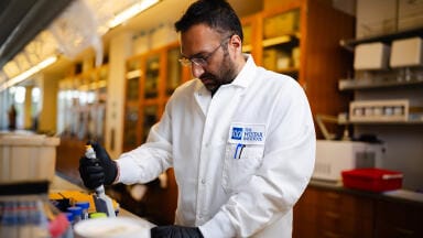 DNA-delivered immunotherapy shows promise for ovarian cancer