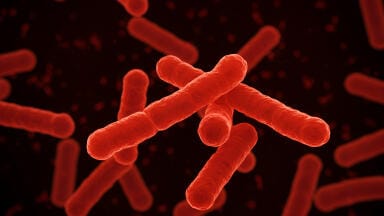 Repurposed drug offers new route to faster tuberculosis treatment