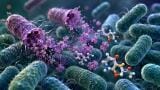 Bacteria can defend against antibiotics using enzyme released by dying cells