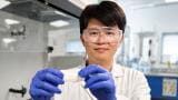 Plant-based wound dressing targets infection before biofilms develop