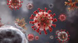 Chemotherapy may trigger immune response that protects ovarian tumours
