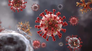 Chemotherapy may trigger immune response that protects ovarian tumours