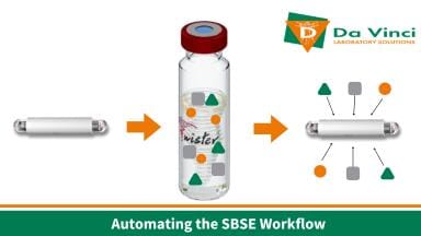 Automating SBSE workflow