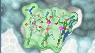 New antibiotic mechanism could help tackle antibiotic resistance