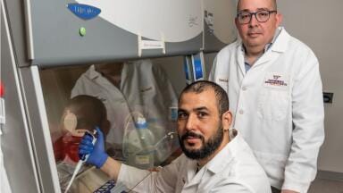 Restoring BMP3 protein shown to reverse harm in pulmonary arterial hypertension