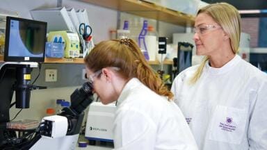 Accidental discovery could lead to novel antiviral treatment for deadly viruses
