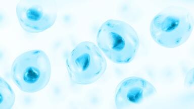 Synthetic cell mimic products launched for flow cytometry controls