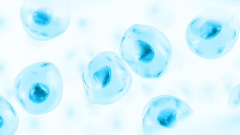 Synthetic cell mimic products launched for flow cytometry controls