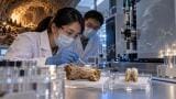Ancient proteins identify Denisovan remains discovered in southwest China