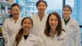 Stem cells and Midkine could support cardiac tissue repair after heart attacks
