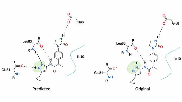 Artificial Intelligence tool predicts stable hydrogen positions in drug-like molecules