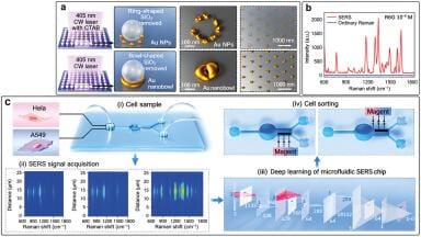 Label-free cell sorting accuracy sharply boosted by uniform gold nanostructures
