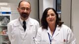 Novel nanoparticle test could improve diagnosis of allergies to penicillins