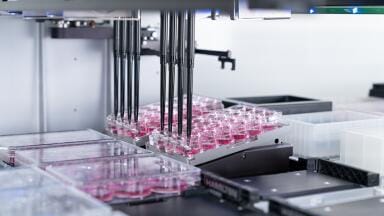 Extending scientific expertise through automation