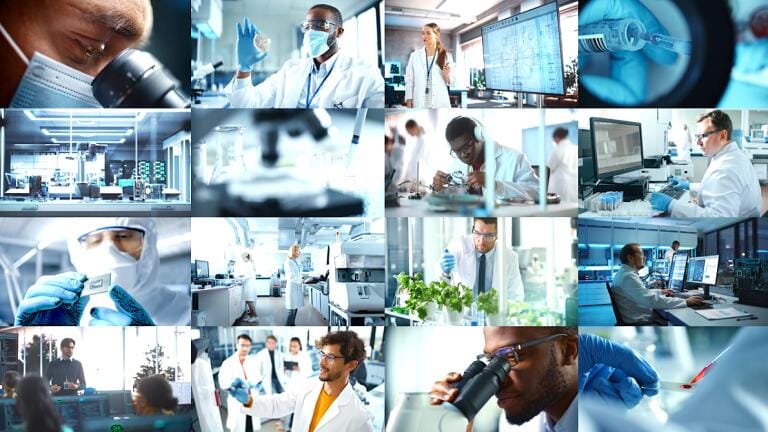 Navigating Complexity: How Mid-Sized Teams Choose the Right Diagnostics CDMO Partner