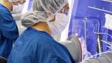 TGA grants VVMF licence to manufacture viral vectors for cell and gene therapies