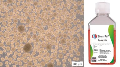 Single medium supports both 2D and 3D pluripotent stem cell culture and growth