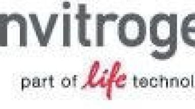 New Technology to Promote Safer Stem Cell Therapies