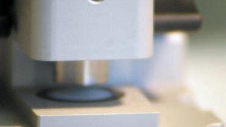 Testing Enzyme Substrate Specificity