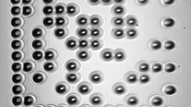 Novel Laser Coding Technology for Pharmaceutical Glass Containers
