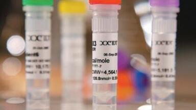 Expanding Gene Expression Assay Portfolio