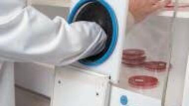 Gloves off for Anaerobic Innovation