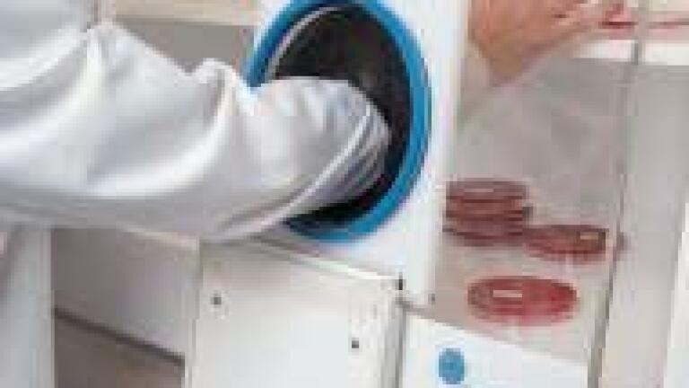 Gloves off for Anaerobic Innovation