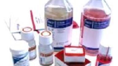 New Rapid Method for Producing High Yields of Biopharmaceutical Proteins