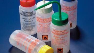 Are you Gram positive?