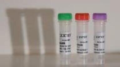 Funding for New Gene Silencing Research