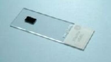 New Silicon Calibration Slide for Raman Spectrometers