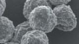Biopharmaceutical Portfolio Based on Bioencapsulation Technology