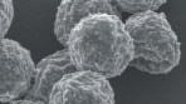 Biopharmaceutical Portfolio Based on Bioencapsulation Technology