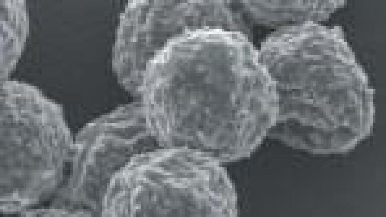 Biopharmaceutical Portfolio Based on Bioencapsulation Technology