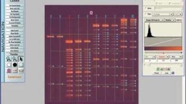 Gel Logic 212 PRO