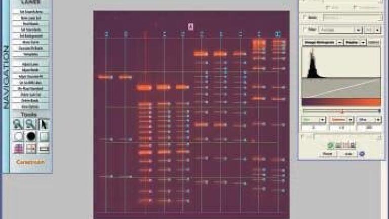 Gel Logic 212 PRO