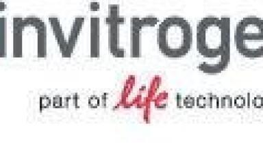 Biomarker Tool for Pre-Clinical Research into kidney Function