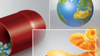 New 2010 Waters Quality Parts, Chromatography Columns and Supplies Catalog Now Available.