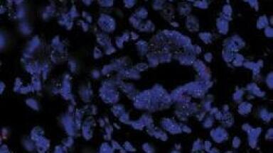 Sheffield Scientists Lead The Way