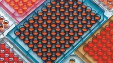 Microplate Contamination in Elevated Solvent Boiling
