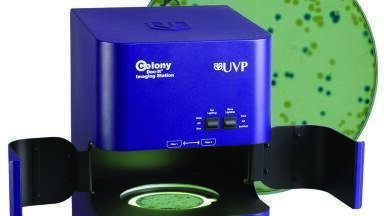 White Paper Illustrates Technique for Multi-Color Bacterial Counting