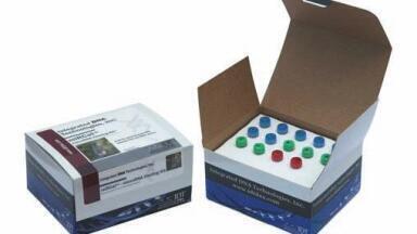Enhanced Small RNA Cloning System
