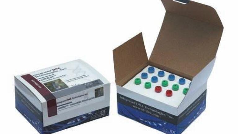 Enhanced Small RNA Cloning System