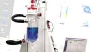 Optimising Process Chemistry Experiments On-the-fly