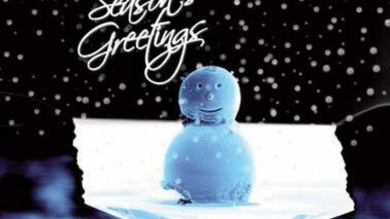 The Worlds Smallest Model Snowman
