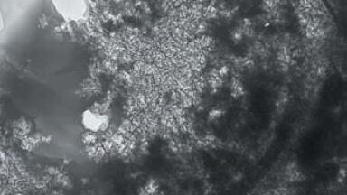 Agar Scientific present Micrograph Prize at Leeds Conference on Cement & Concrete Science