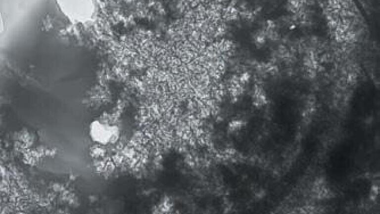 Agar Scientific present Micrograph Prize at Leeds Conference on Cement & Concrete Science