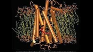 Bio Workbench Enables Scientists to Achieve New Breakthroughs in Biosciences