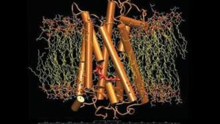 Bio Workbench Enables Scientists to Achieve New Breakthroughs in Biosciences