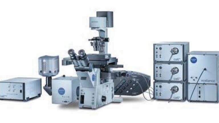 Pushing the Boundaries of Fluorescence Imaging